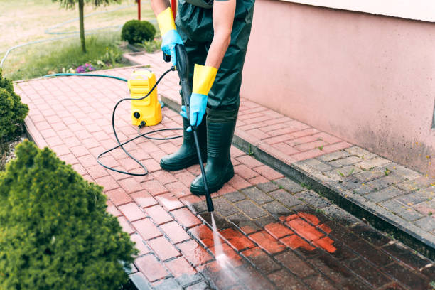 Best Factory Floor Cleaning  in Cheboygan, MI